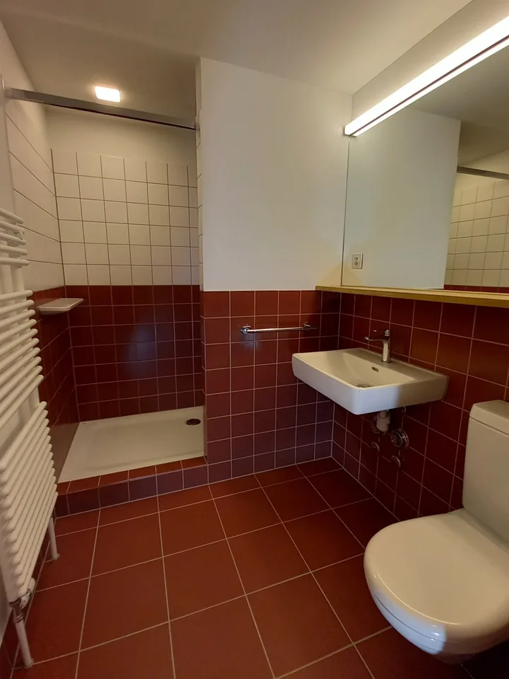 Appartement de 2,5 pièces rénové dans le district 3 de Zurich – photo 7 sur 8
