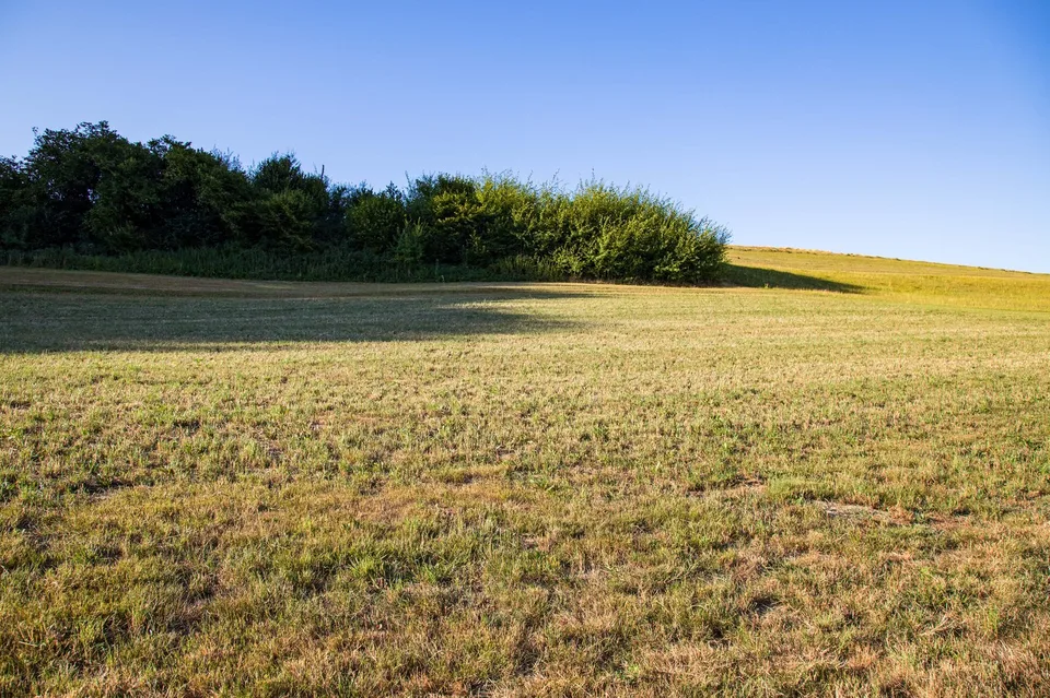 5,5 / 6,5 pièces projets de maisons unifamiliales en droit de construction – photo 7 sur 9