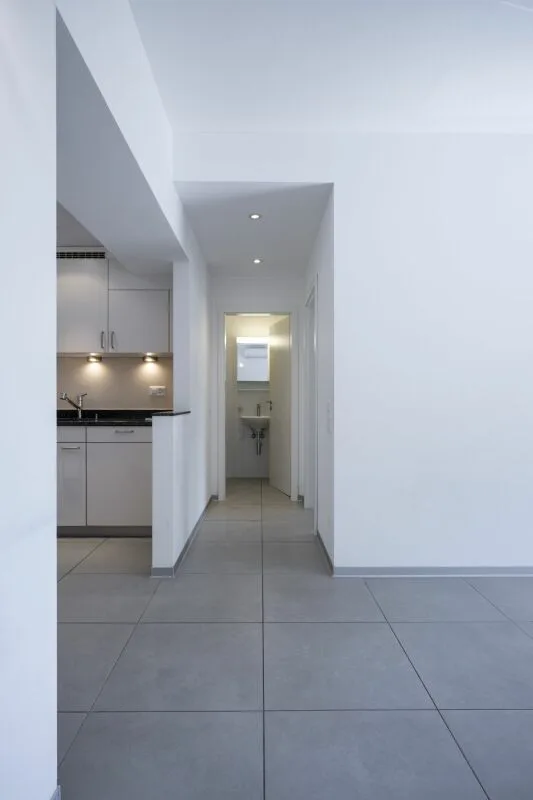 Via Trevano 7a, 6900 Lugano – foto 3 di 7