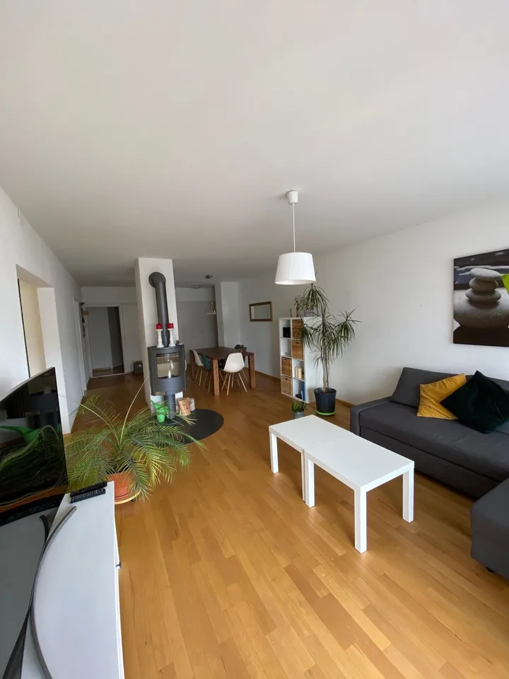 Sogno di casa con camino a Berna – foto 13 di 18