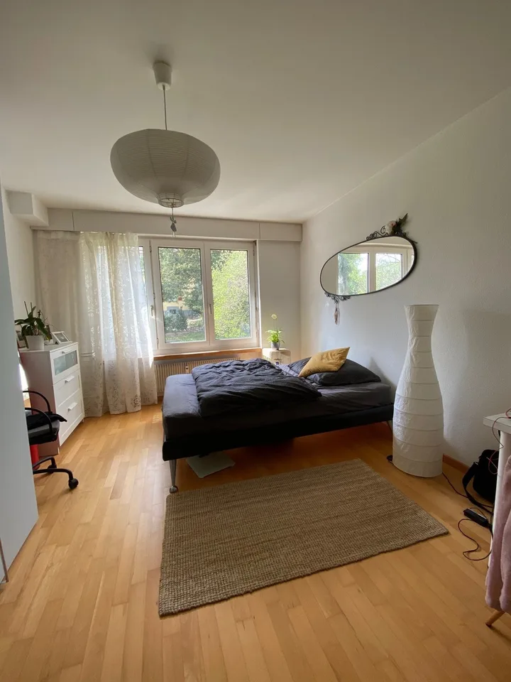 Sogno di casa con camino a Berna – foto 16 di 18