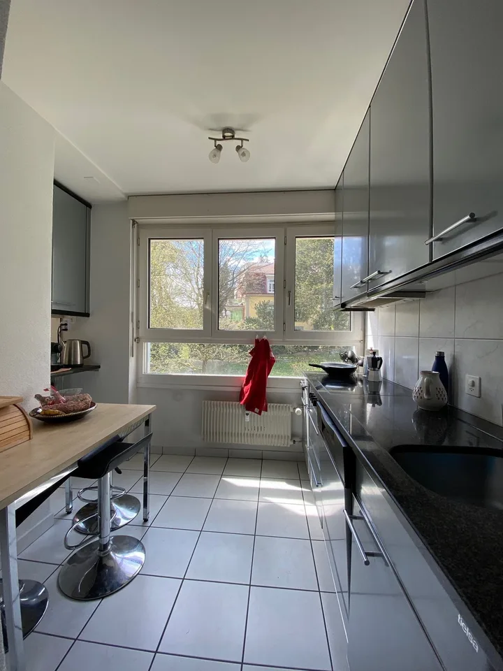 Sogno di casa con camino a Berna – foto 2 di 18