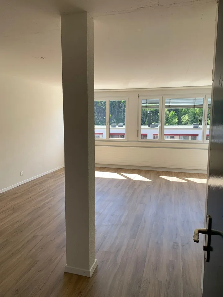 Wohnen an attraktiver Lage in Schaffhausen – Foto 3 von 13