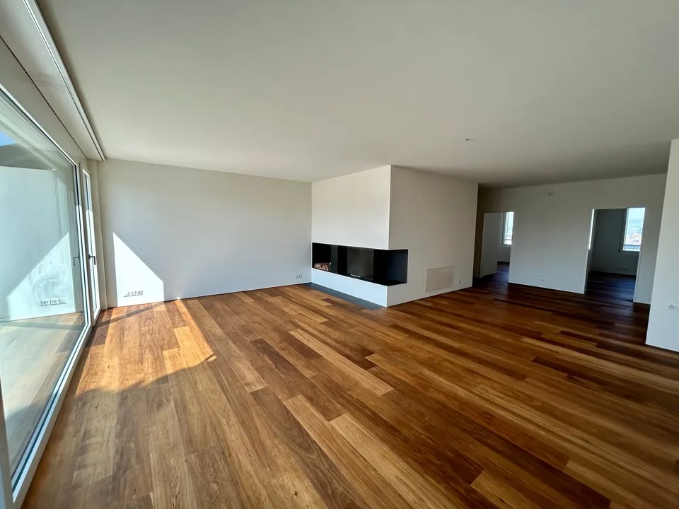 Appartamento di lusso 3.5 locali nel centro di Basilea – foto 2 di 18