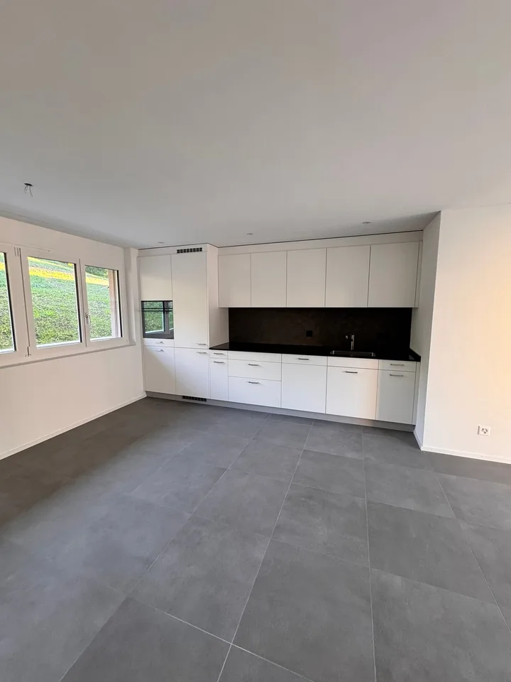 Première location de 2 MFH Kirchweg 358 / 359 à Zullwil – Vivre moderne à la campagne – photo 3 sur 26