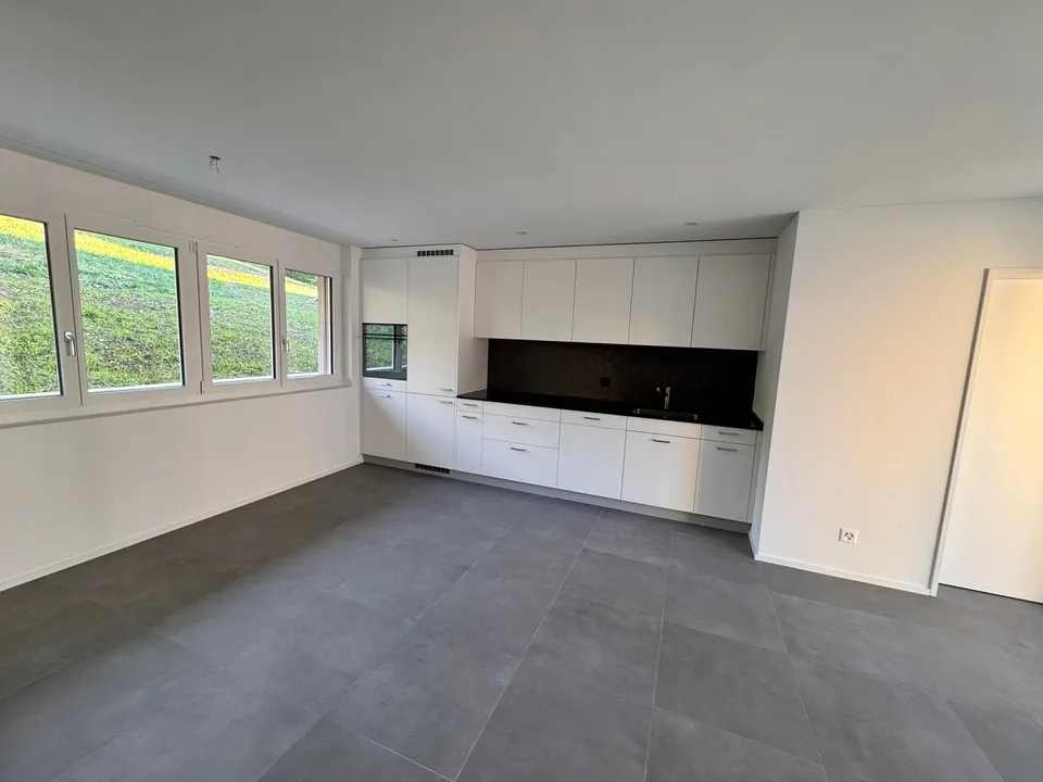 Première location de 2 MFH Kirchweg 358 / 359 à Zullwil – Vivre moderne à la campagne – photo 2 sur 26