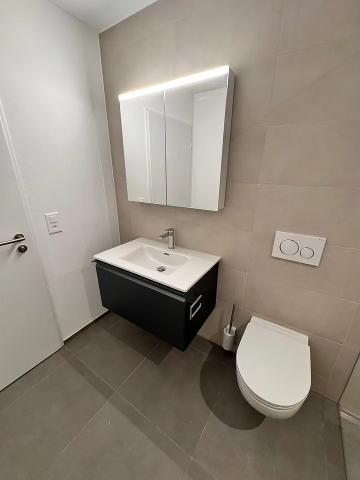 Première location de 2 MFH Kirchweg 358 / 359 à Zullwil – Vivre moderne à la campagne – photo 25 sur 26