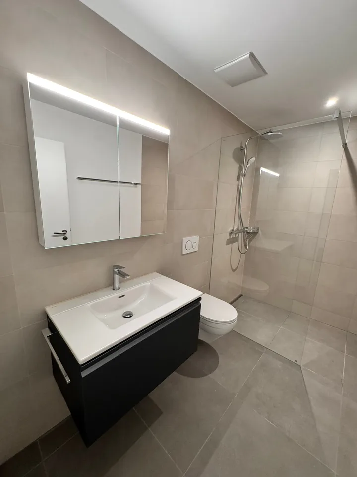 Première location de 2 MFH Kirchweg 358 / 359 à Zullwil – Vivre moderne à la campagne – photo 23 sur 26