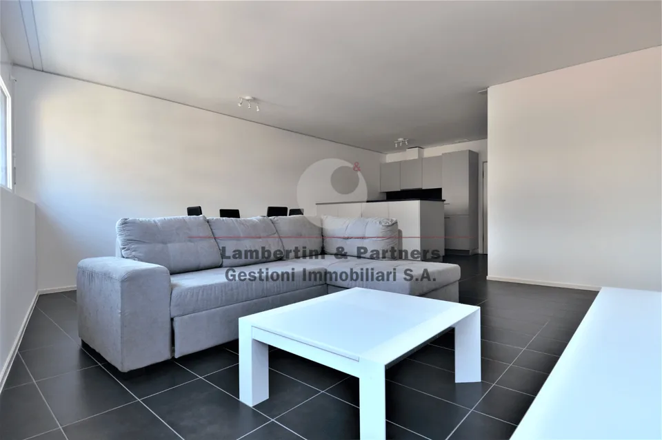 Moderne et bien fini, MEUBLÉ et 1er mois de loyer NET GRATUIT – photo 2 sur 6