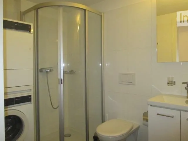Möblierte und schöne 1-Zimmer Wohnung im Kreis 5 (Zürich) – Foto 3 von 5