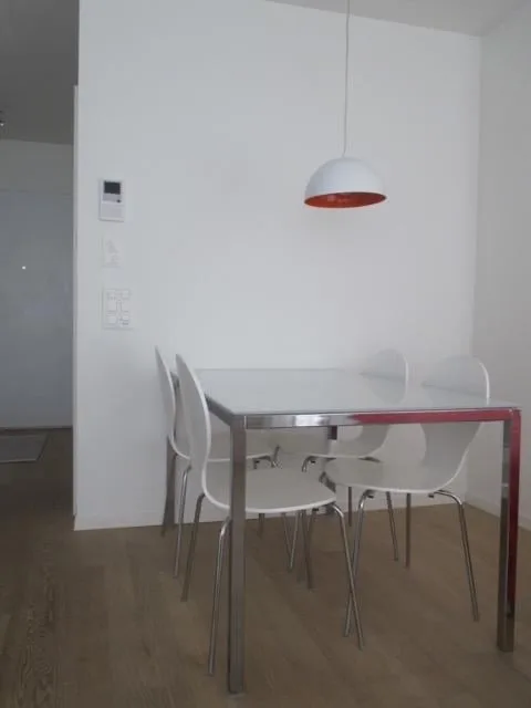 Möblierte und schöne 1-Zimmer Wohnung im Kreis 5 (Zürich) – Foto 2 von 5