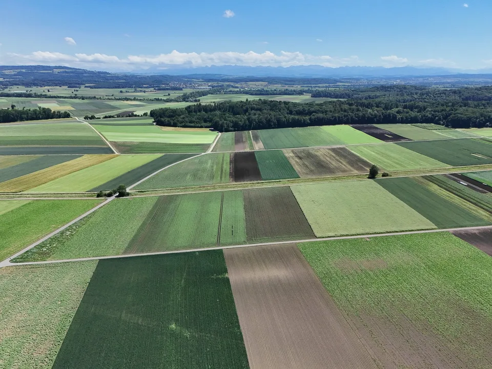 Ancienne ferme avec grand terrain à Täuffelen – grand potentiel pour créer quelque chose de nouveau – photo 15 sur 15