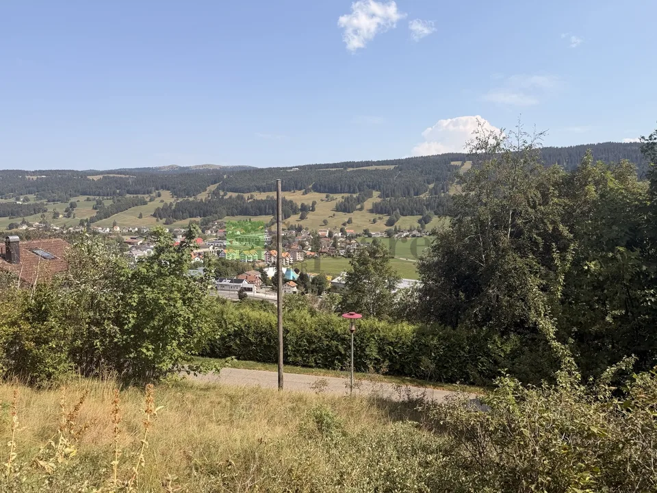 Schönes Baugrundstück – Foto 3 von 4