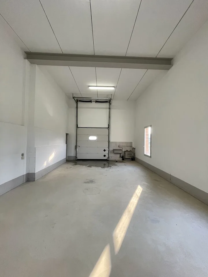 Gewerbefläche in Genestrerio – Foto 2 von 4