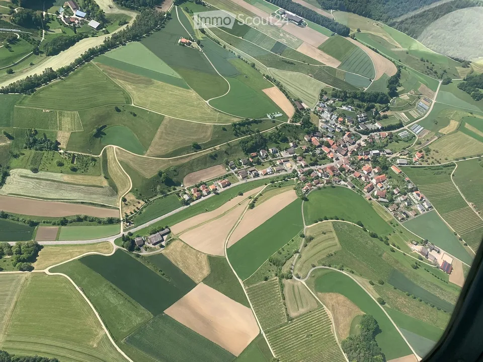 Freistehendes Einfamilienhaus mit Lift, im Nebelarmen Elfingen – Foto 7 von 10
