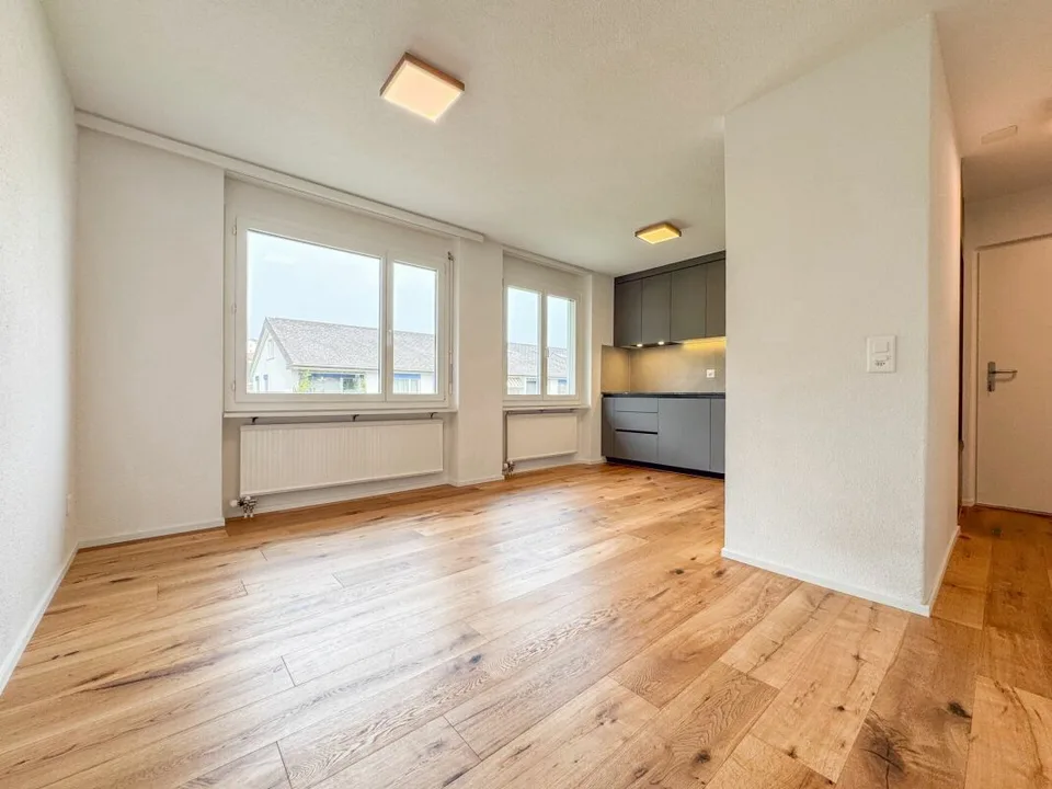 Appartement moderne rénové de 4,5 pièces avec vue dégagée – photo 2 sur 11