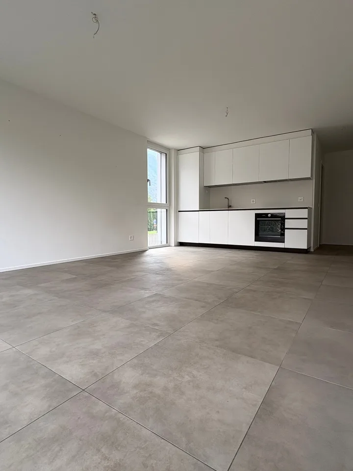 Appartement 2.5 pièces avec jardin à louer à Grono – photo 2 sur 11