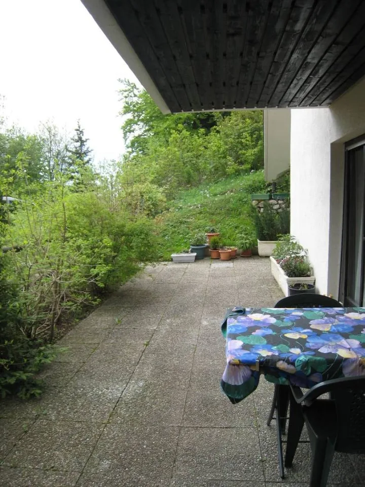 Charming apartment with terrace in Saint-Cergue – photo 4 of 7