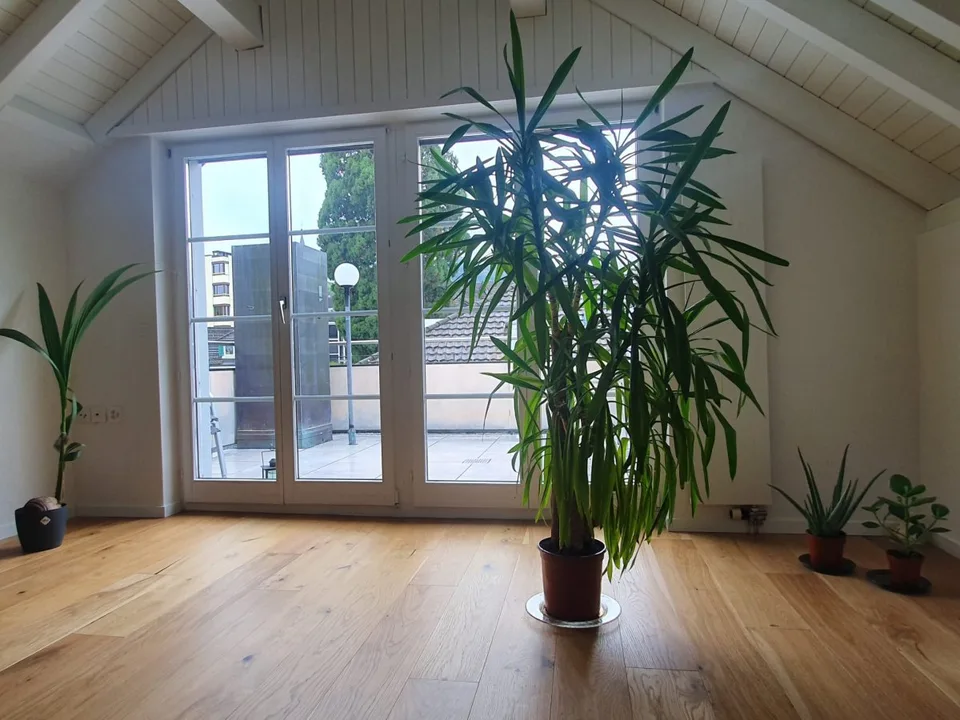 Dachwohnung mit Seeblick - Wohlfühlfeeling garantiert – Foto 2 von 6