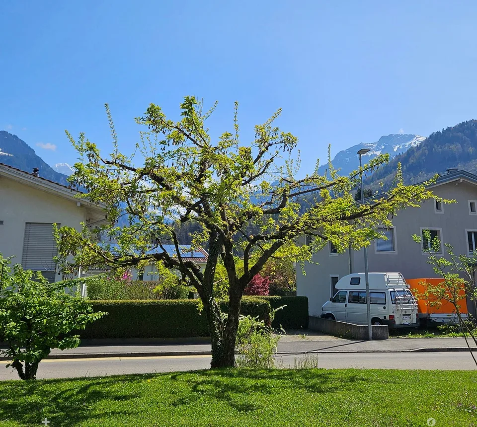 Appartamento in proprietà di 3 camere con area di seduta, posto auto, soffitta e cantina – foto 4 di 18