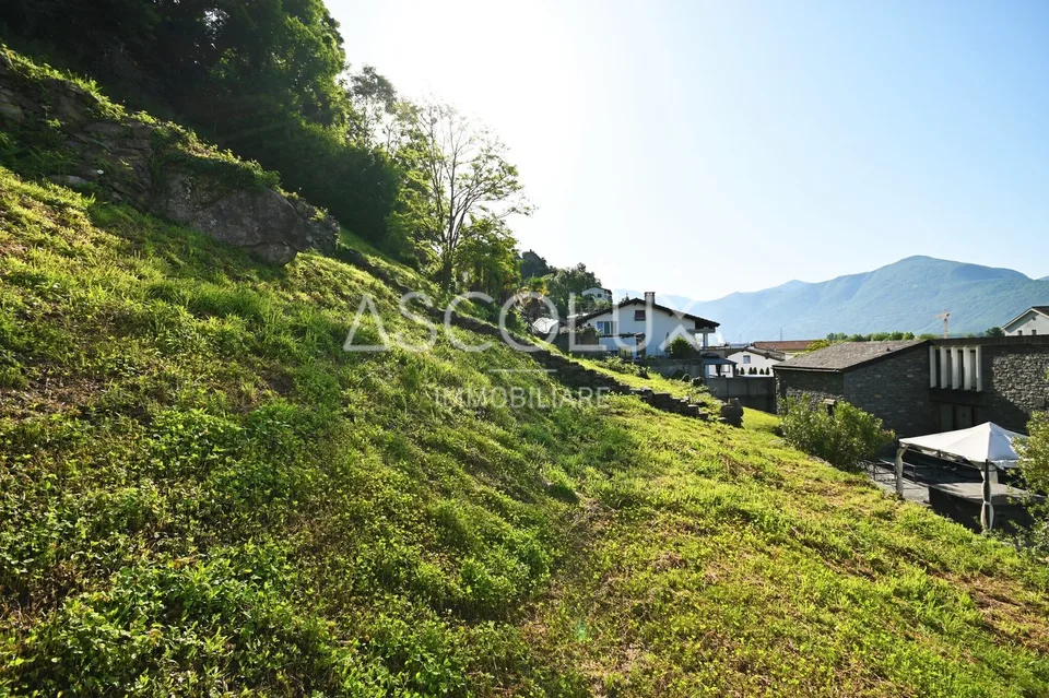 Terreno edificabile di 1'070 m2 con vista panoramica – foto 6 di 9