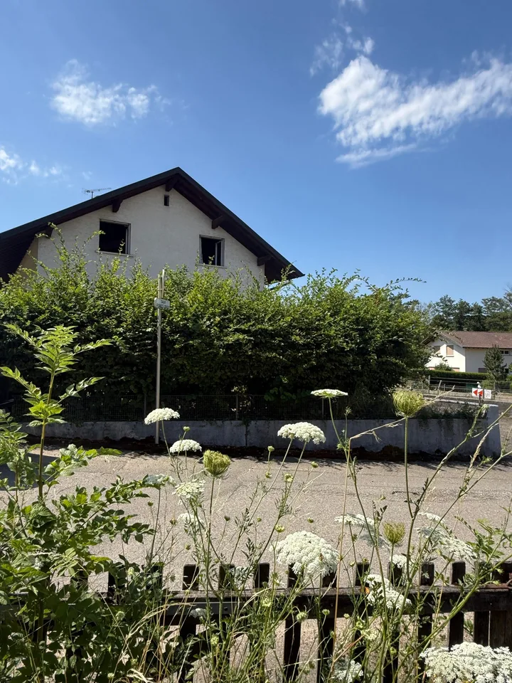 Réf: 111181*** Sect. Neuwiller/ Leymen: Très belle maison de famille env. 210 m² – Foto 21 von 30
