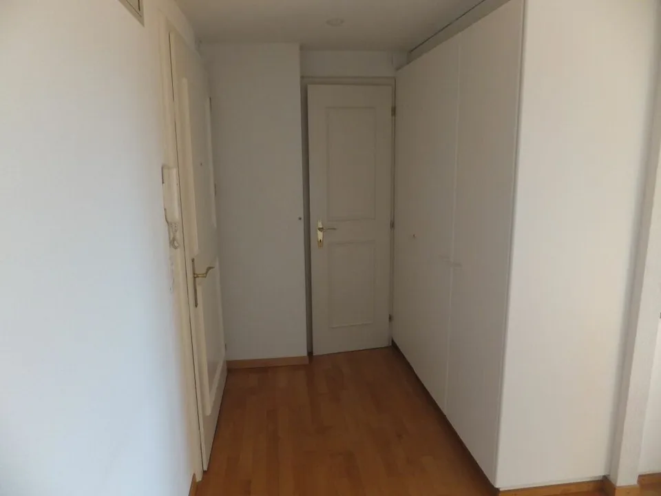 Sopra i tetti di Zürich Seefeld - 1 camera appartamento sul lago di Zurigo – foto 7 di 7