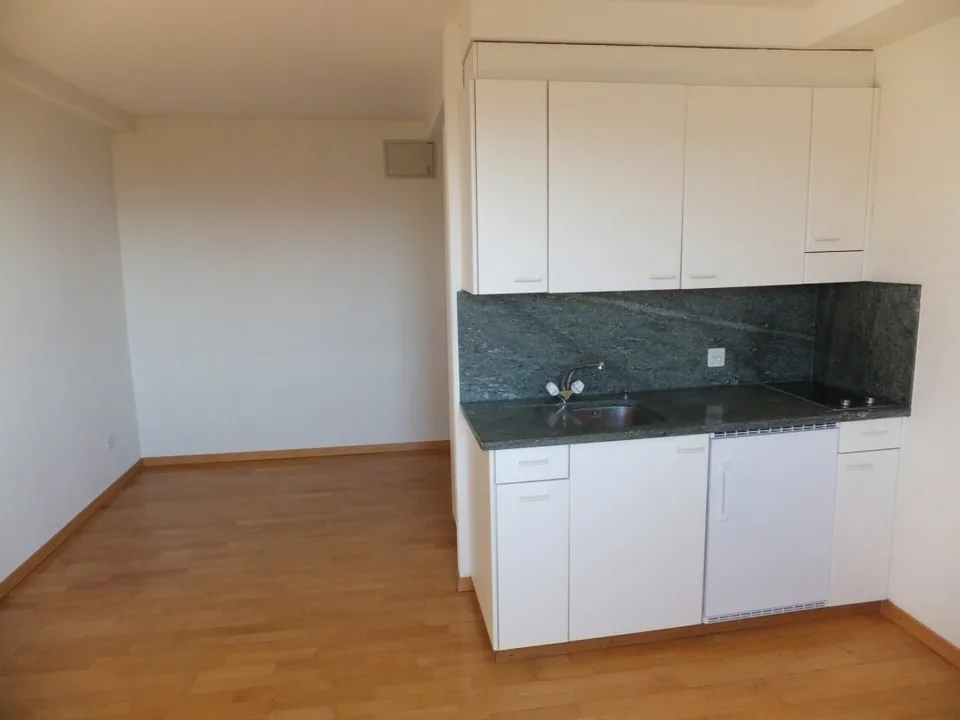 Sopra i tetti di Zürich Seefeld - 1 camera appartamento sul lago di Zurigo – foto 4 di 7