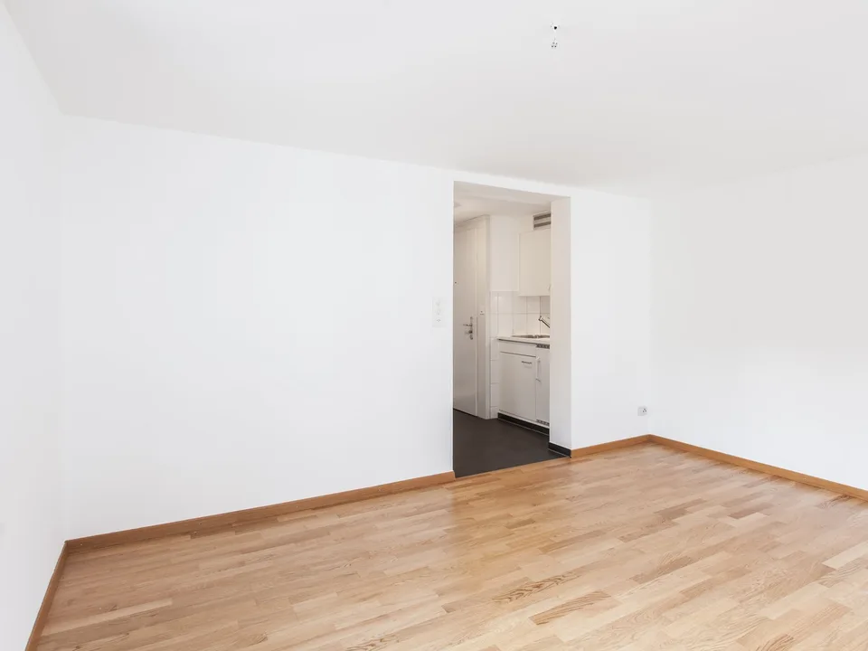 Appartamento accogliente 2 locali a St. Gallen - Sottolocatario cercato – foto 3 di 9