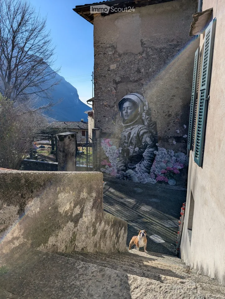 Wohnung im Grünen – Foto 4 von 5