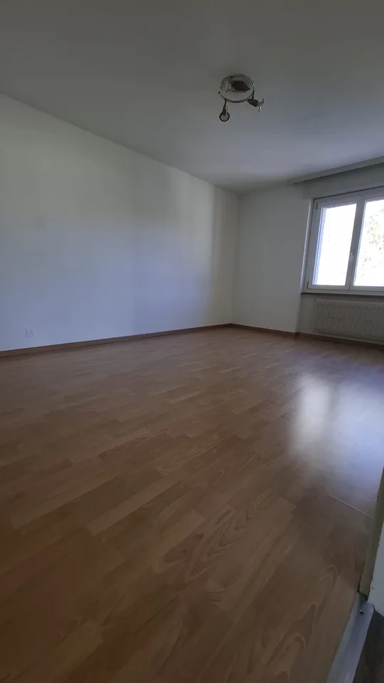 Geräumige 4.5-Zimmer-Wohnung mit Balkon ? Ruhige Umgebung – Foto 3 von 8