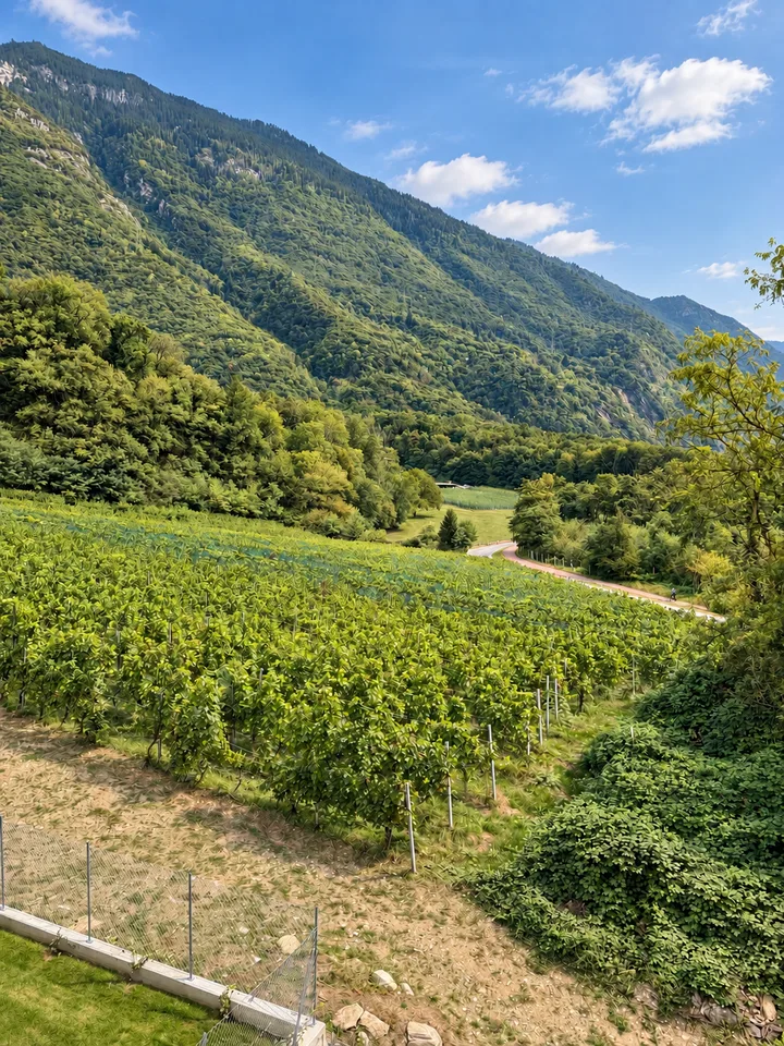 Wunderschönes Dachgeschoss mit 3.5 Zimmern und Panoramablick in Lumino – Foto 11 von 11