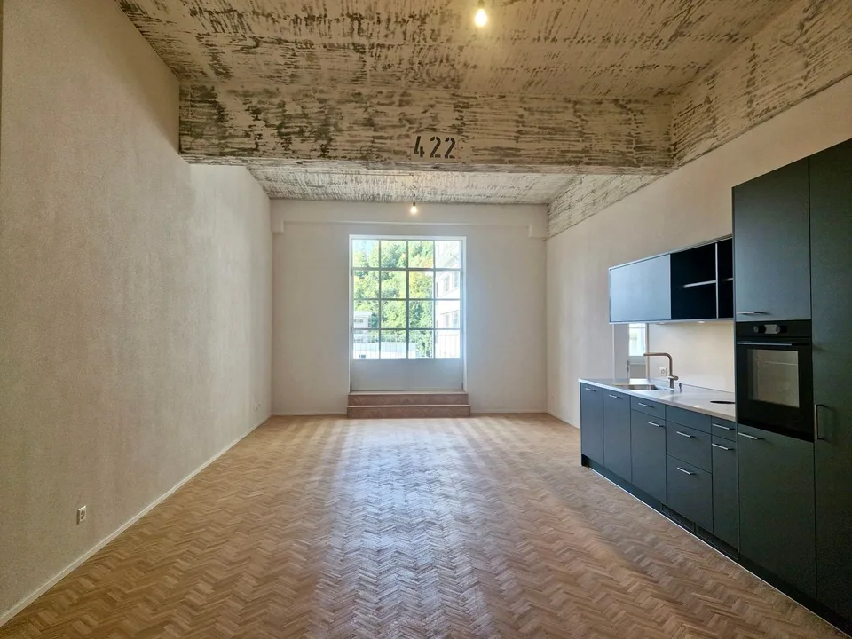 Loft moderno 3 locali con fascino industriale e vasca da bagno indipendente – foto 2 di 13