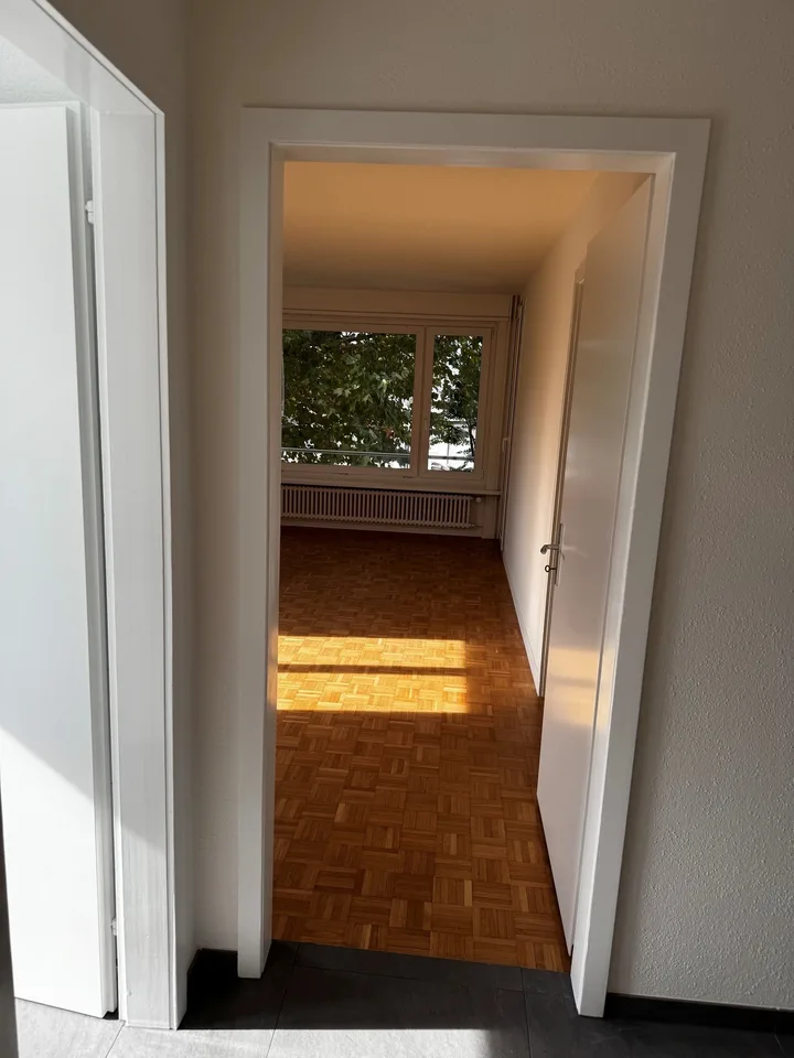 Affascinante appartamento di 3 locali su Seidenstrasse a Brugg – foto 6 di 11