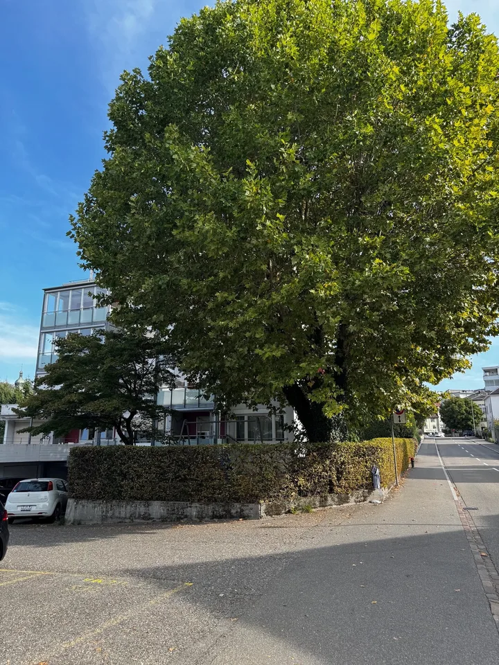 Affascinante appartamento di 3 locali su Seidenstrasse a Brugg – foto 3 di 11