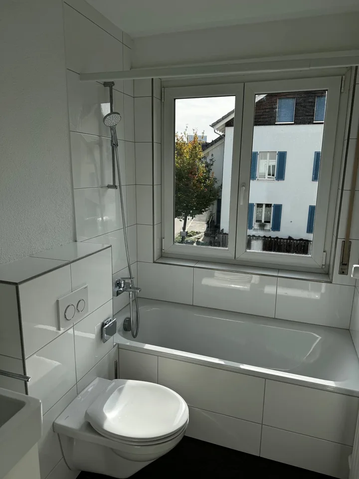 Affascinante appartamento di 3 locali su Seidenstrasse a Brugg – foto 5 di 11