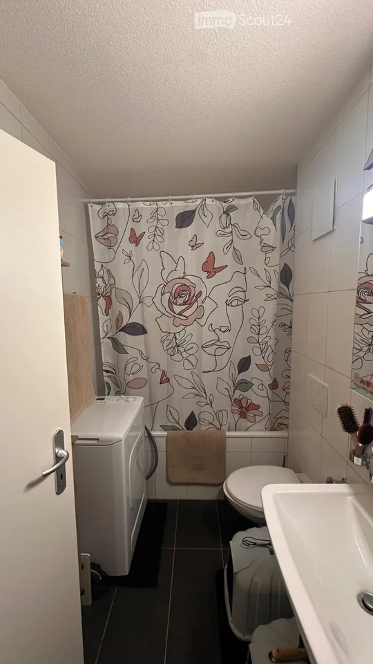 Chessel - Charmantes 2,5-Zimmer-Wohnung unter dem Dach – Foto 4 von 5