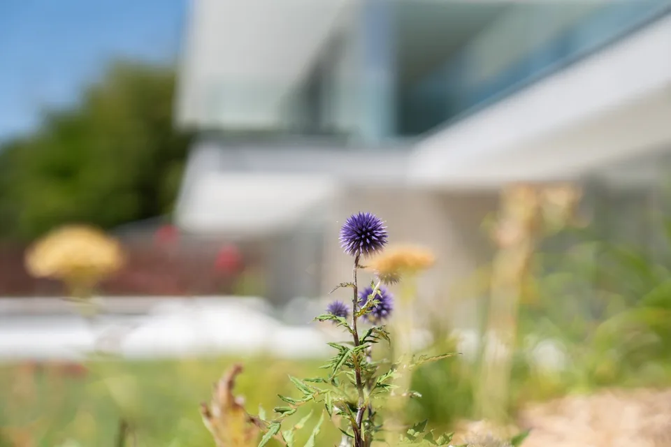 Das Pavillon du Clos – Neu errichtete Villa in Veytaux – Foto 18 von 29