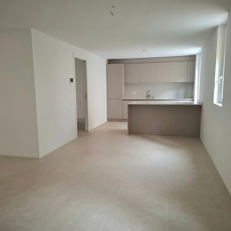 Appartement moderne 4.5 pièces à Cadro avec grande terrasse – photo 2 sur 10