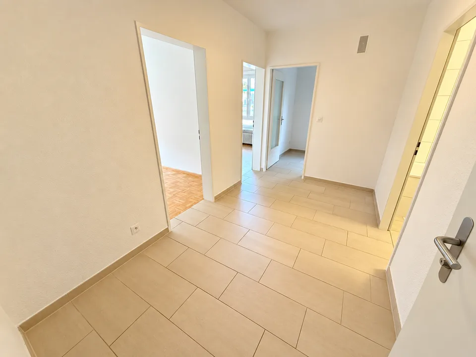 Appartamento contemporaneo ai margini del villaggio di Riehen – foto 3 di 7