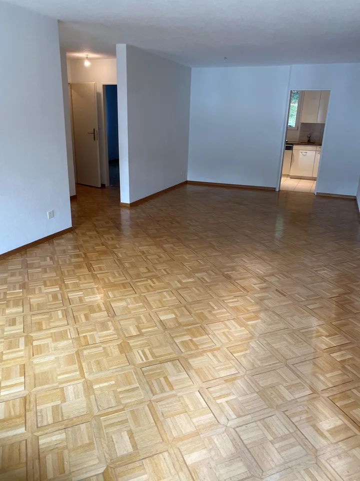 Appartement ensoleillé avec jardin privé à Höngg – photo 4 sur 9