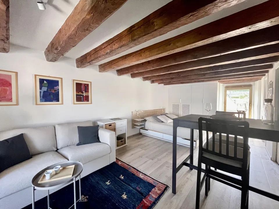 Monolocale arredato in affitto ? Nyon, Rue de Rive 53 vista lago al 4° piano disponibile dal 2/11/2026 – foto 6 di 13