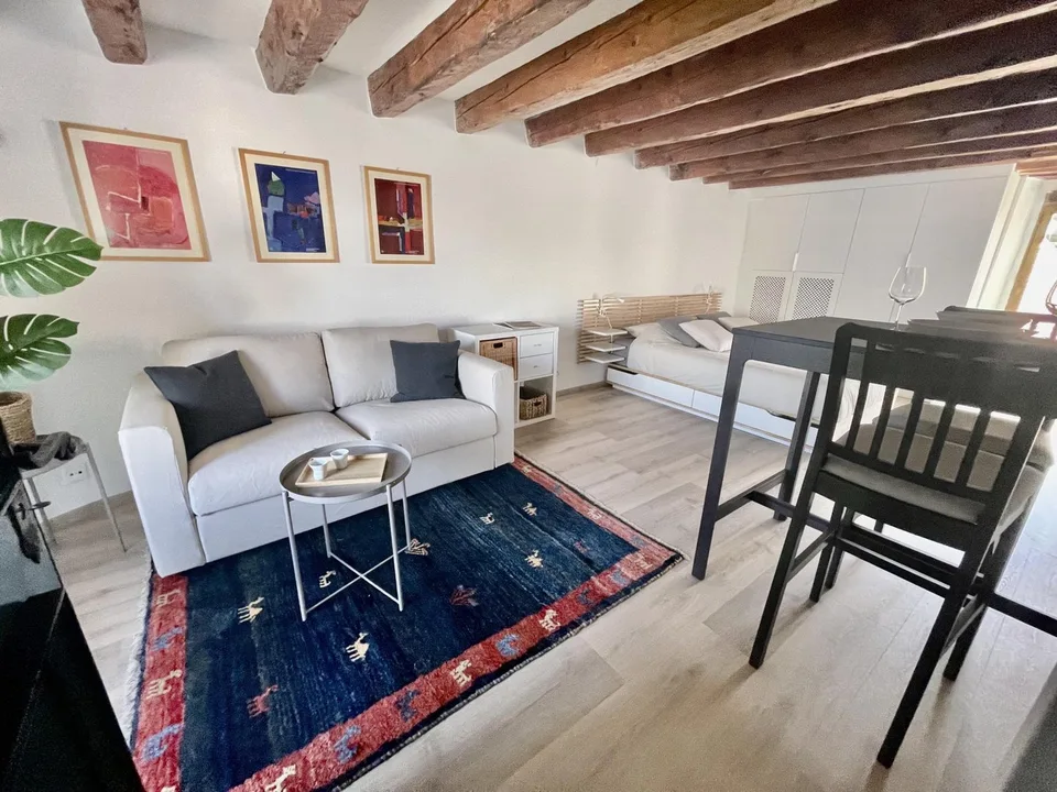 Monolocale arredato in affitto ? Nyon, Rue de Rive 53 vista lago al 4° piano disponibile dal 2/11/2026 – foto 4 di 13