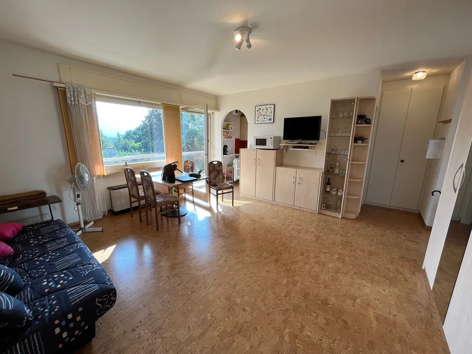 Schöne 1.5 Zimmer-Wohnung in sonniger, zentraler und ruhiger Lage – Foto 5 von 6