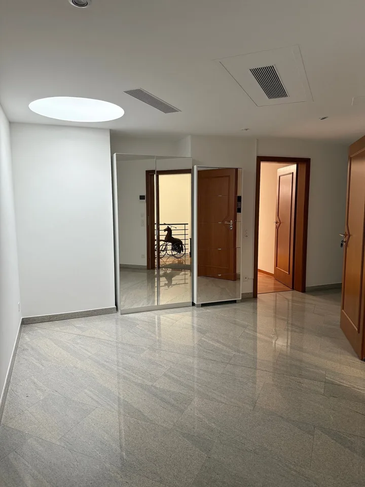 Elegant attic – photo 20 of 23