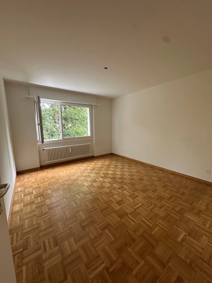 Appartement ensoleillé de 4,5 pièces avec balcon – photo 7 sur 10