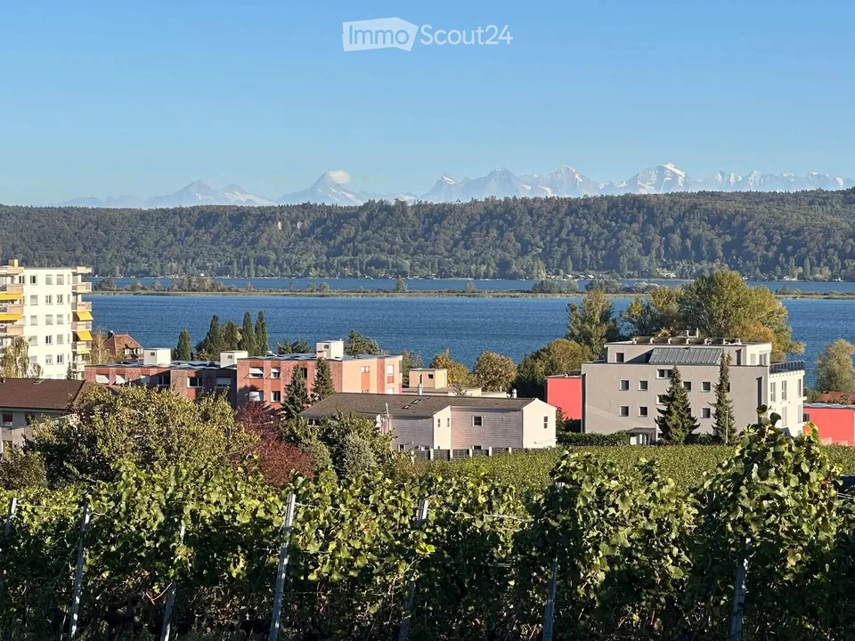 Prächtige Wohnung mit Blick auf den Bielersee – Foto 4 von 5