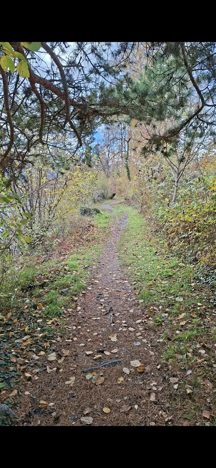 FÜR KATZENLIEBHABER IN FELSBERG (GR), MÖBLIERT, TEMPORÄR – photo 7 sur 7
