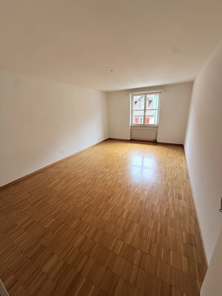 Vivere nella città di Laufen: grande appartamento con 2 bagni – foto 4 di 6