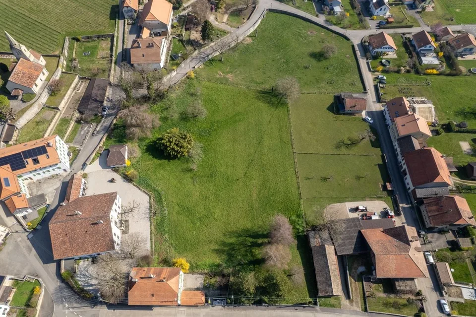 Le Domaine au Marronnier - Una proprietà d'eccezione nel cuore del vigneto vaudese – foto 10 di 13